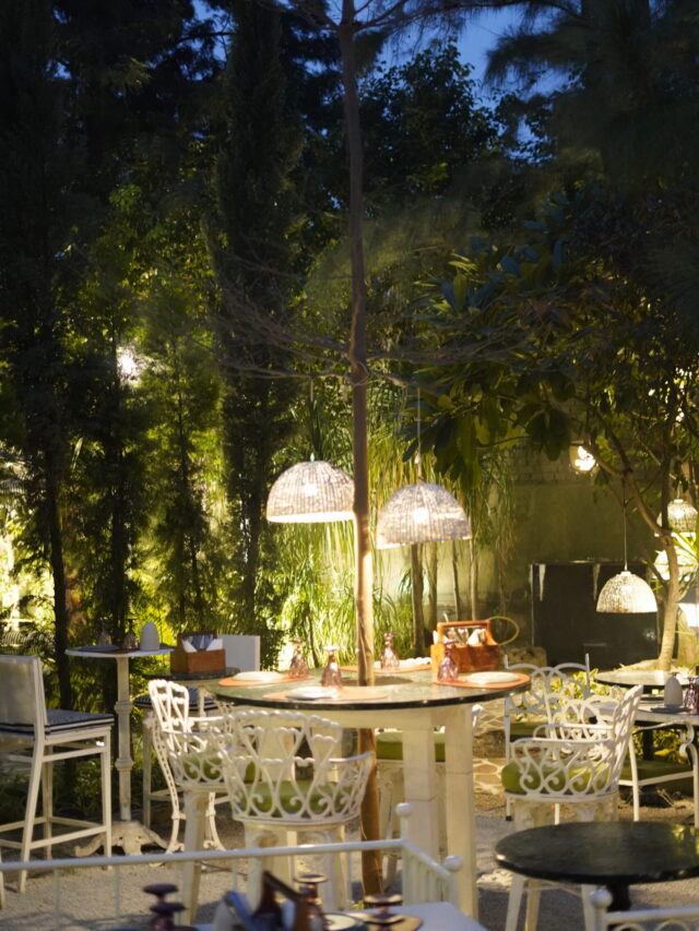 Discover What Makes Cafés Perfect for First Dates